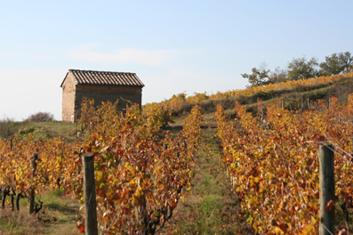 Vue du domaine de Rochevine n°6